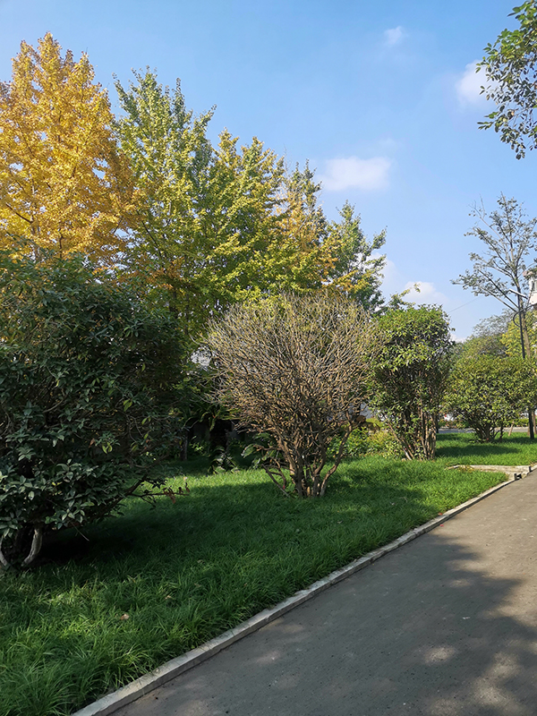 英亚网页版页面登录_英亚（中国）