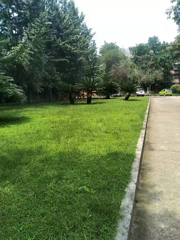 英亚网页版页面登录_英亚（中国）